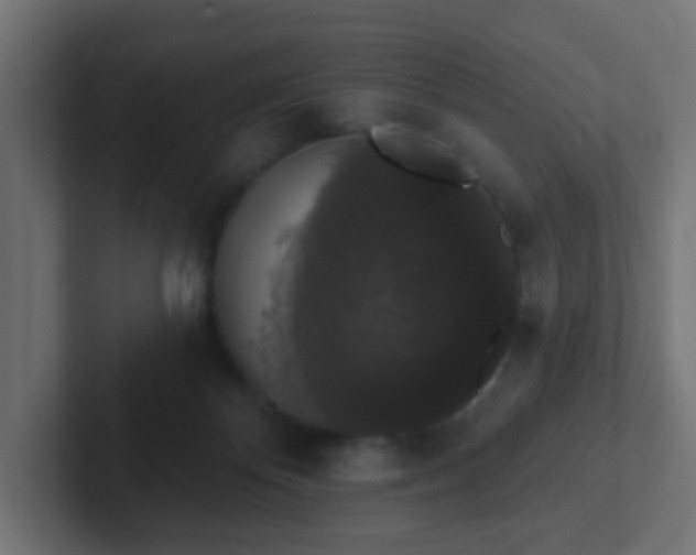 X0000102810124200808251117