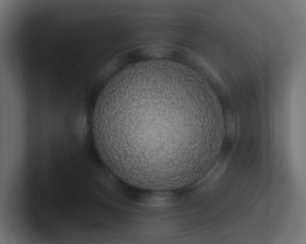 X0000102810128200808251117