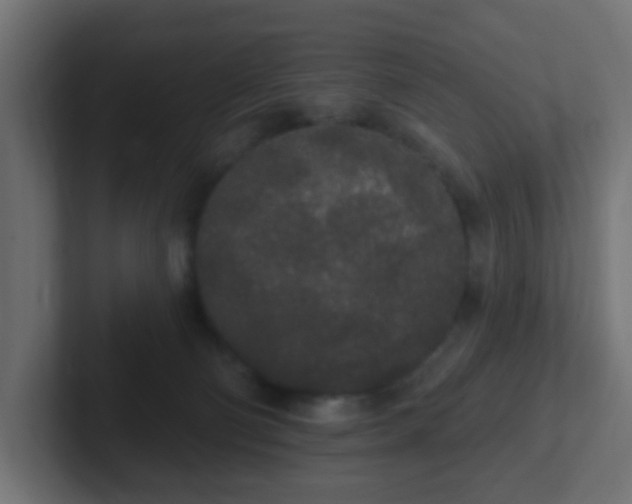 X0000102810130200808251117