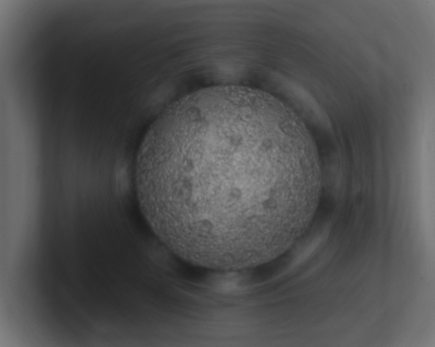 X0000102810131200808251117