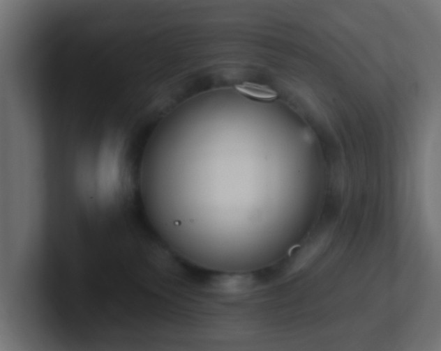 X0000102810135200808251117