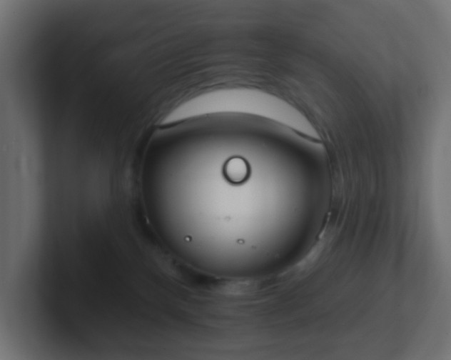 X0000102810136200808251117