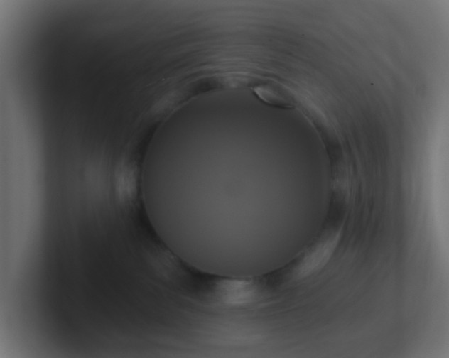 X0000102810139200808251117