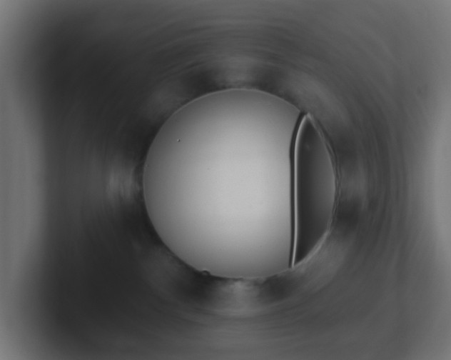 X0000102810140200808251117