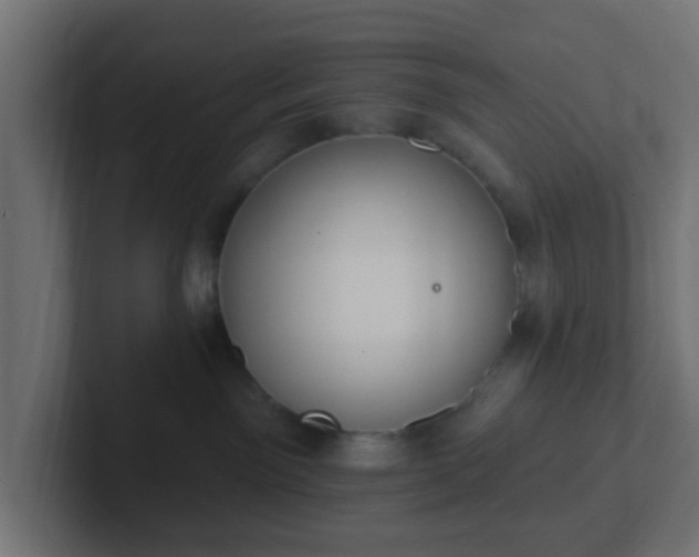 X0000102810141200808251117