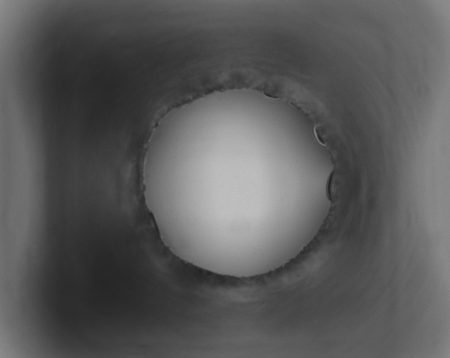 X0000102810144200808251117