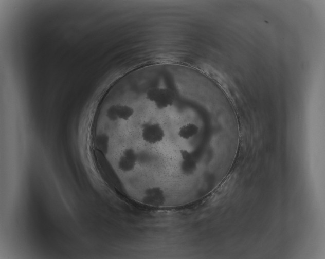 X0000102810145200808251116