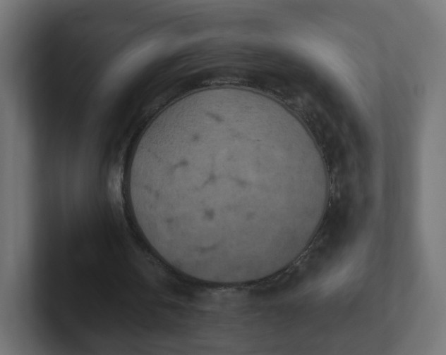 X0000102810146200808251116