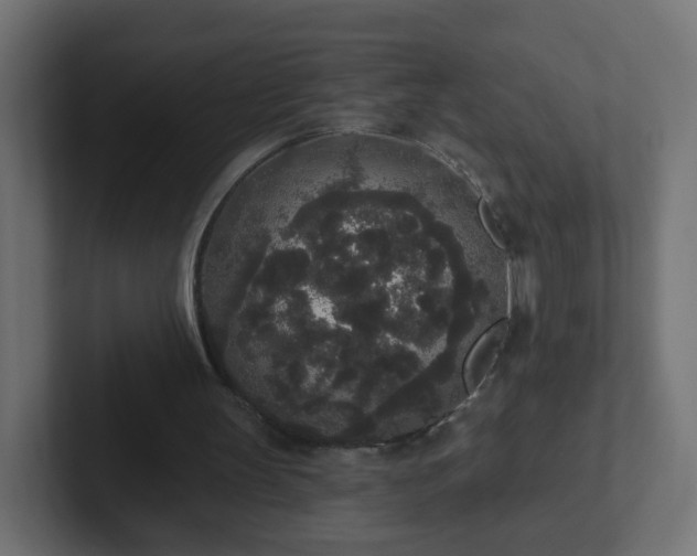 X0000102810147200808251116