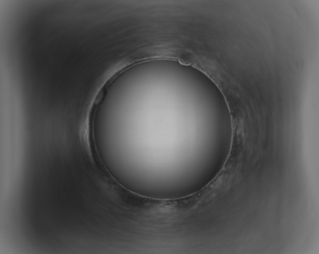 X0000102810148200808251116