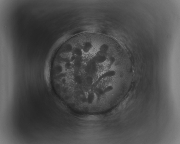 X0000102810149200808251116