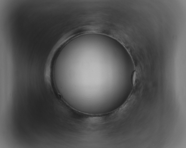 X0000102810150200808251116