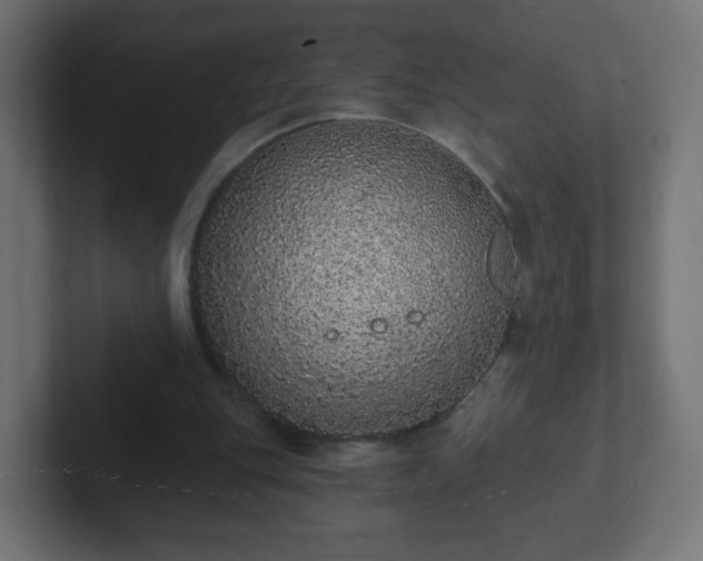 X0000102810151200808251116