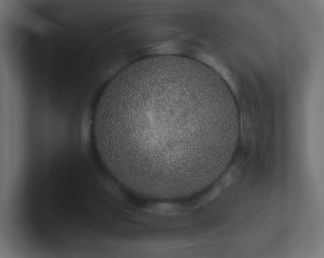 X0000102810153200808251116