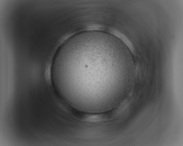 X0000102810155200808251116