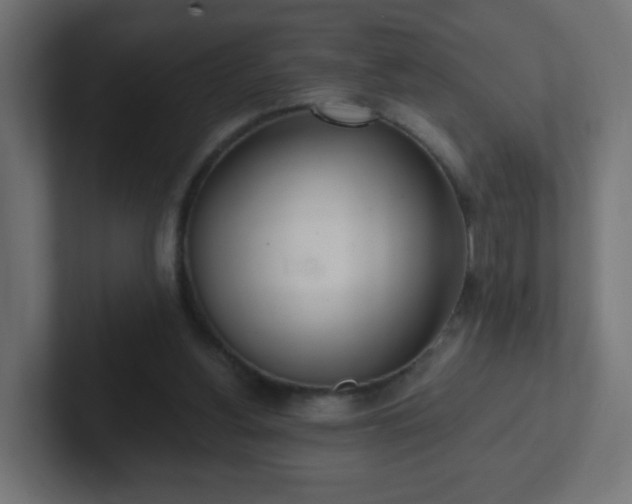 X0000102810156200808251116