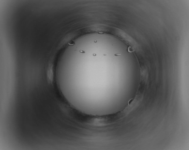 X0000102810158200808251116