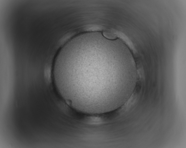 X0000102810159200808251116