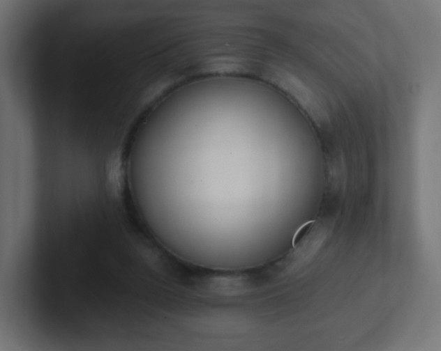 X0000102810160200808251116