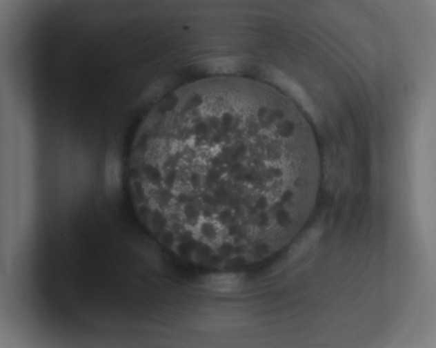 X0000102810161200808251116