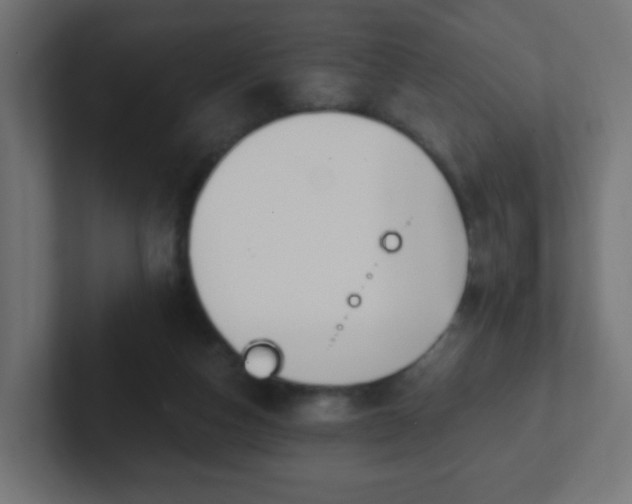 X0000102810162200808251116