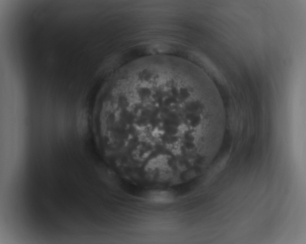 X0000102810169200808251117