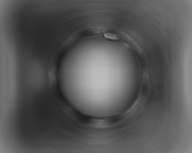 X0000102810170200808251117