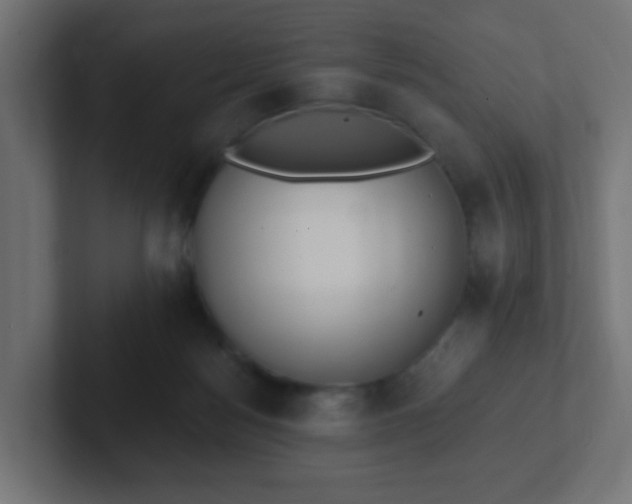 X0000102810172200808251117