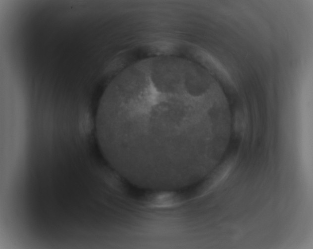 X0000102810173200808251117