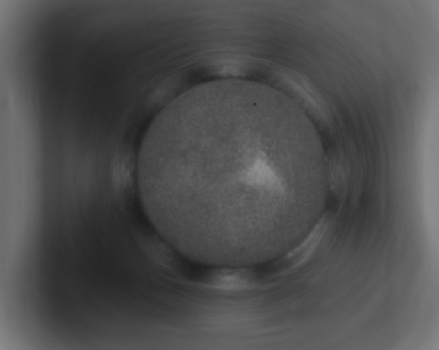 X0000102810175200808251117