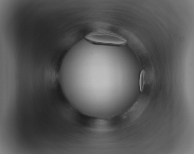 X0000102810176200808251117