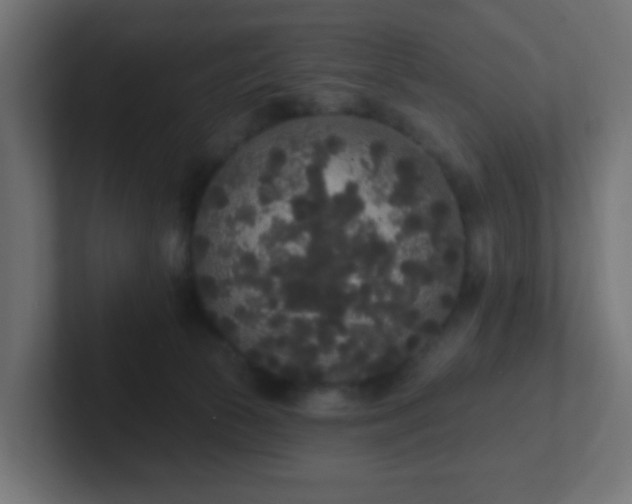 X0000102810177200808251117