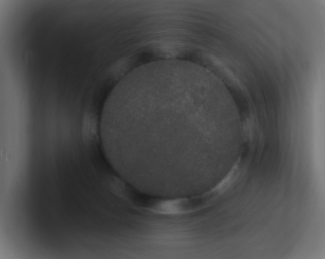 X0000102810178200808251117