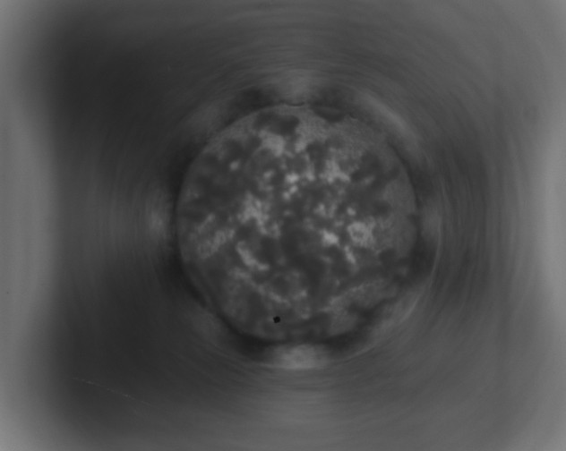 X0000102810181200808251117