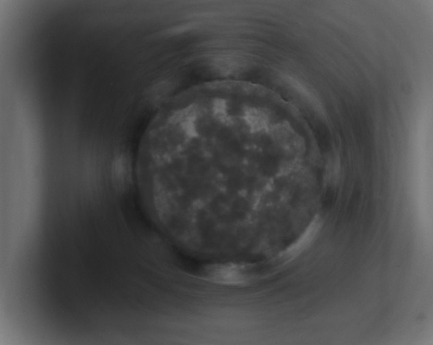 X0000102810182200808251117