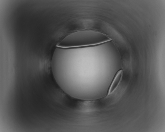 X0000102810184200808251117