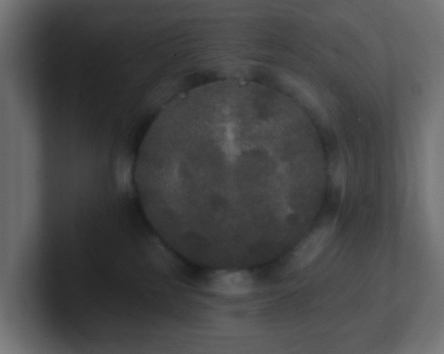 X0000102810185200808251117