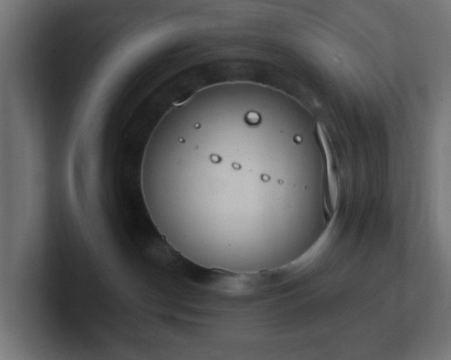 X0000102810190200808251117