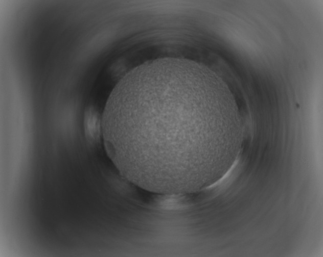 X0000102810191200808251117