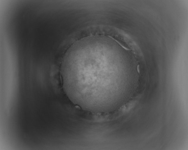 X0000102810192200808251117