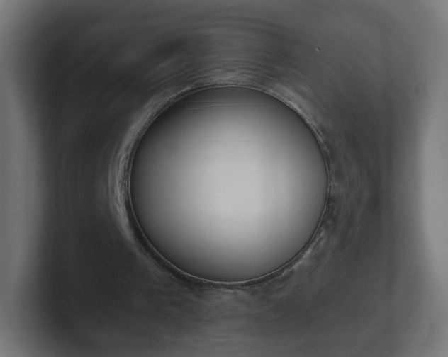 X0000102810193200808251116