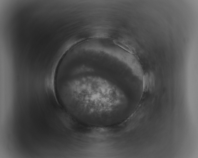 X0000102810195200808251116