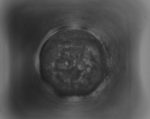 X0000102810198200808251116