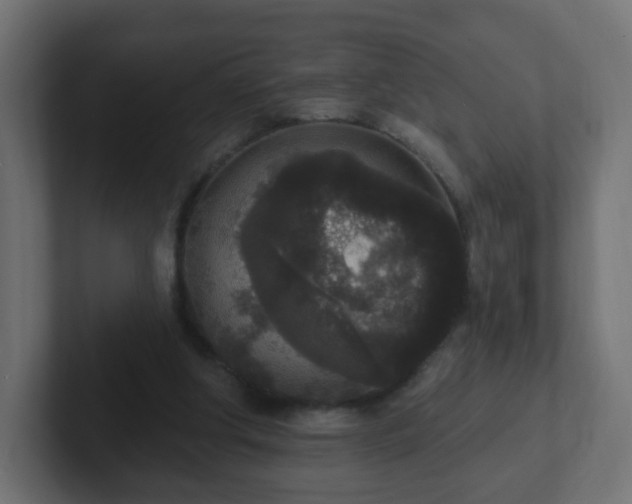 X0000102810202200808251116