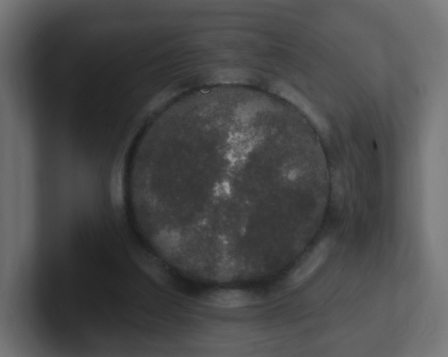 X0000102810203200808251116