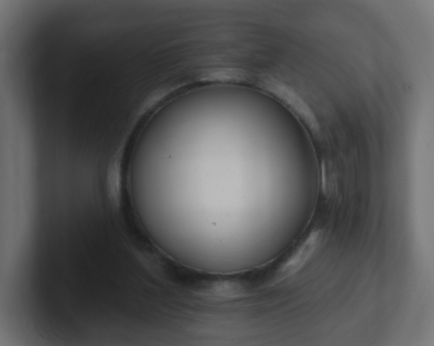 X0000102810204200808251116