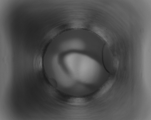 X0000102810205200808251116