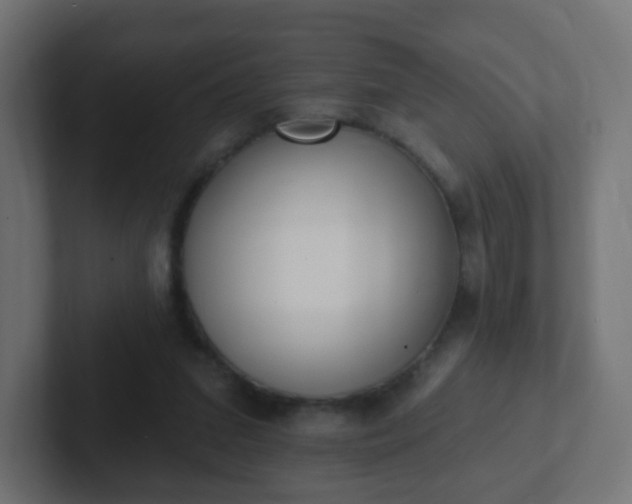 X0000102810207200808251116