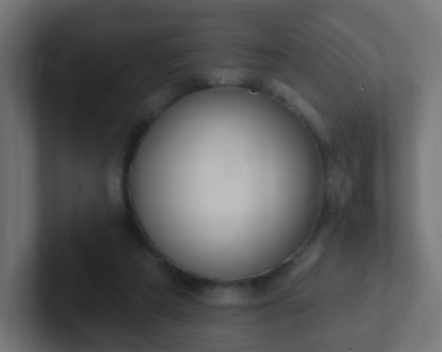 X0000102810209200808251116