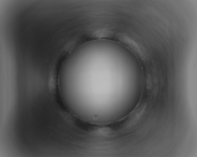 X0000102810210200808251116